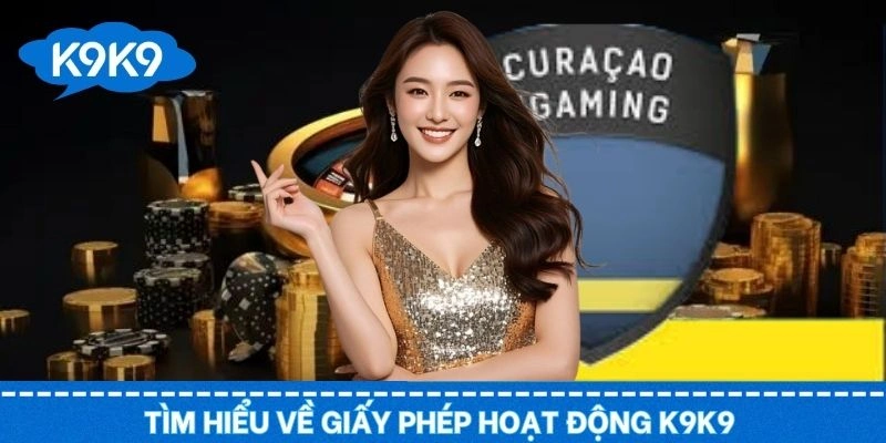 Giới thiệu những nét chính liên quan đến giấy phép hoạt động